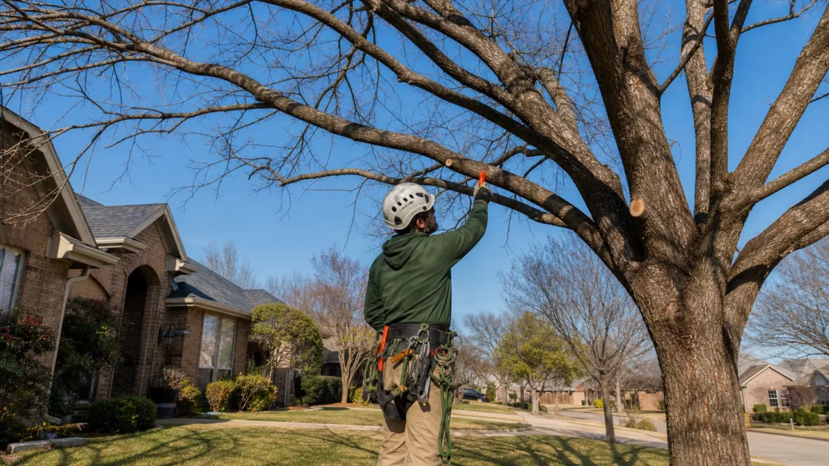 Best Time to Prune Trees in Hurst, TX: A Seasonal Decision Guide — realistic Hurst, Texas tree-service scene